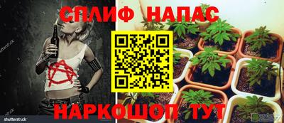 прущие крисы Кулебаки